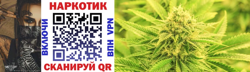 МЕТАДОН Каргополь