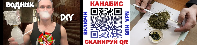 где продают наркотики  Каргополь  Канабис конопля 